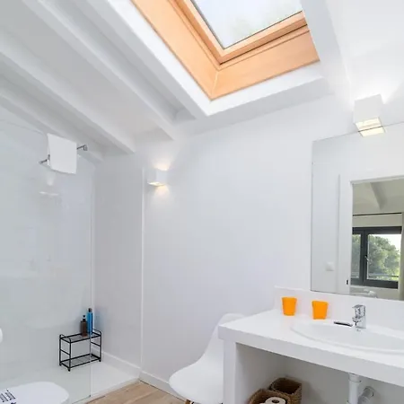 Espectacular Moderna En La Naturaleza Setien