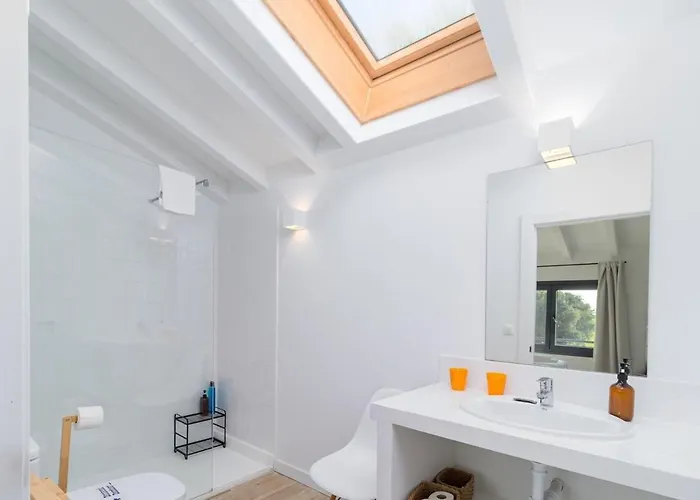 Espectacular Moderna En La Naturaleza Setien